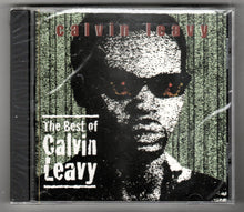 Load image into Gallery viewer, The Best of Calvin Leavy Electric Blues Album CD 2000 - TulipStuff

