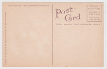 Load image into Gallery viewer, A Bunch of Roses Portland Oregon Flowers Antique Postcard 1910&#39;s - TulipStuff
