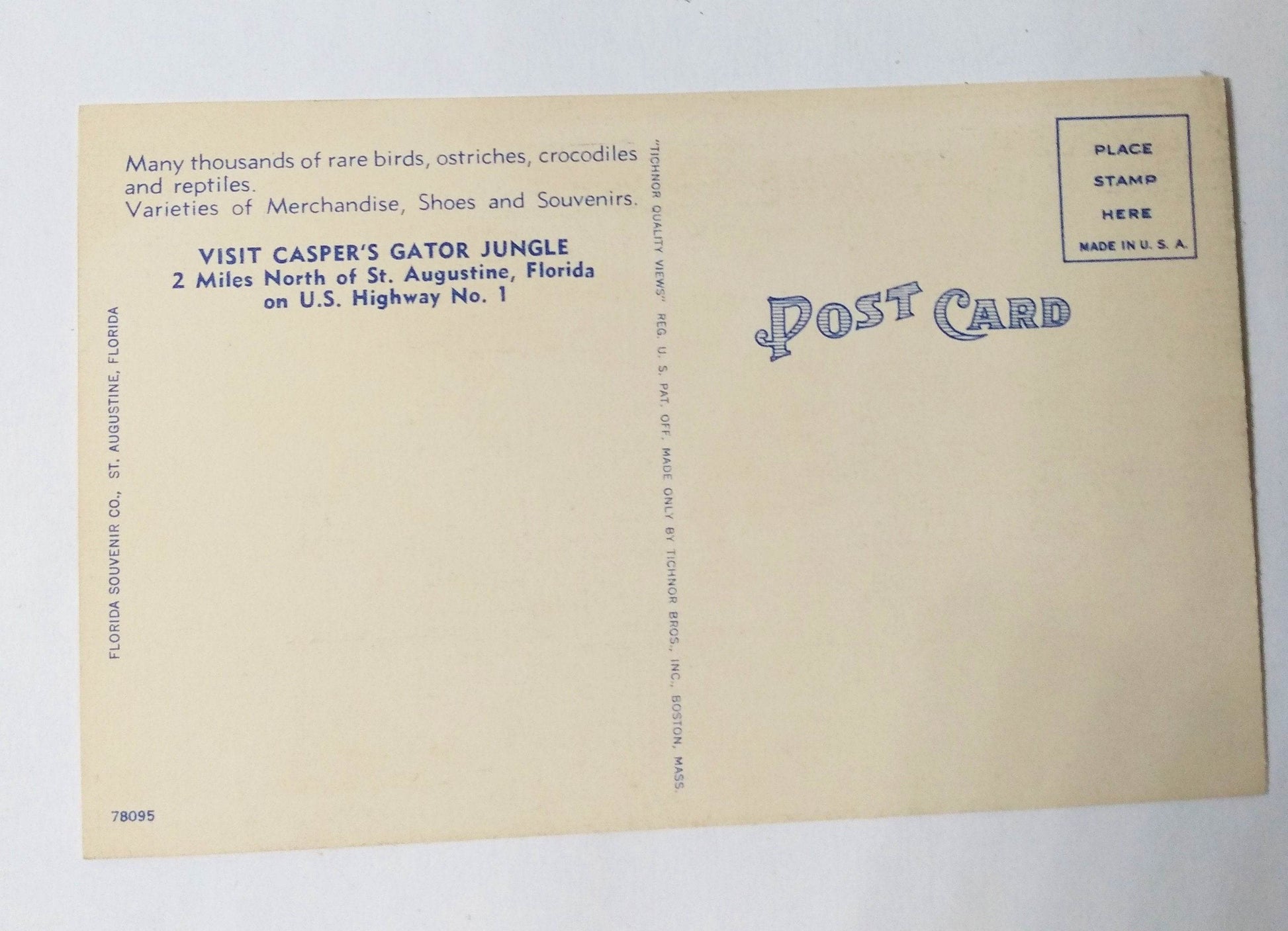 Dangerous Man Killing Alligator Casper's Gator Jungle St Augustine 1940's - TulipStuff