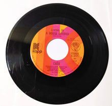 Load image into Gallery viewer, Cher Living In A House Divided 7&quot; Vinyl Kapp Records K-2171 1972 - TulipStuff
