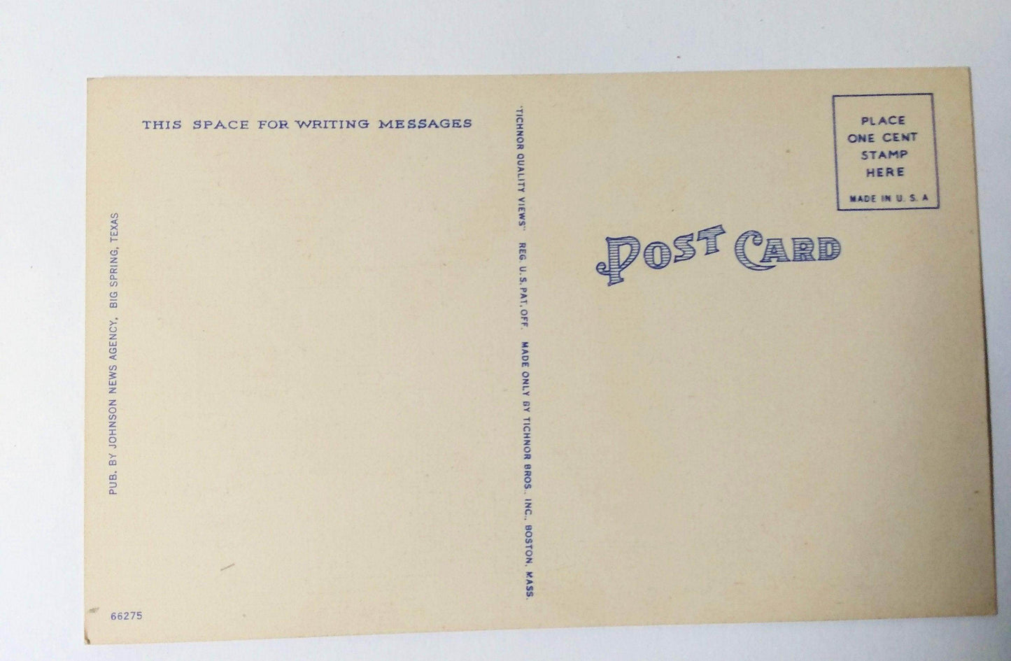 Buckhorn Cholla Cactus In Bloom American Southwest Desert 1940's - TulipStuff