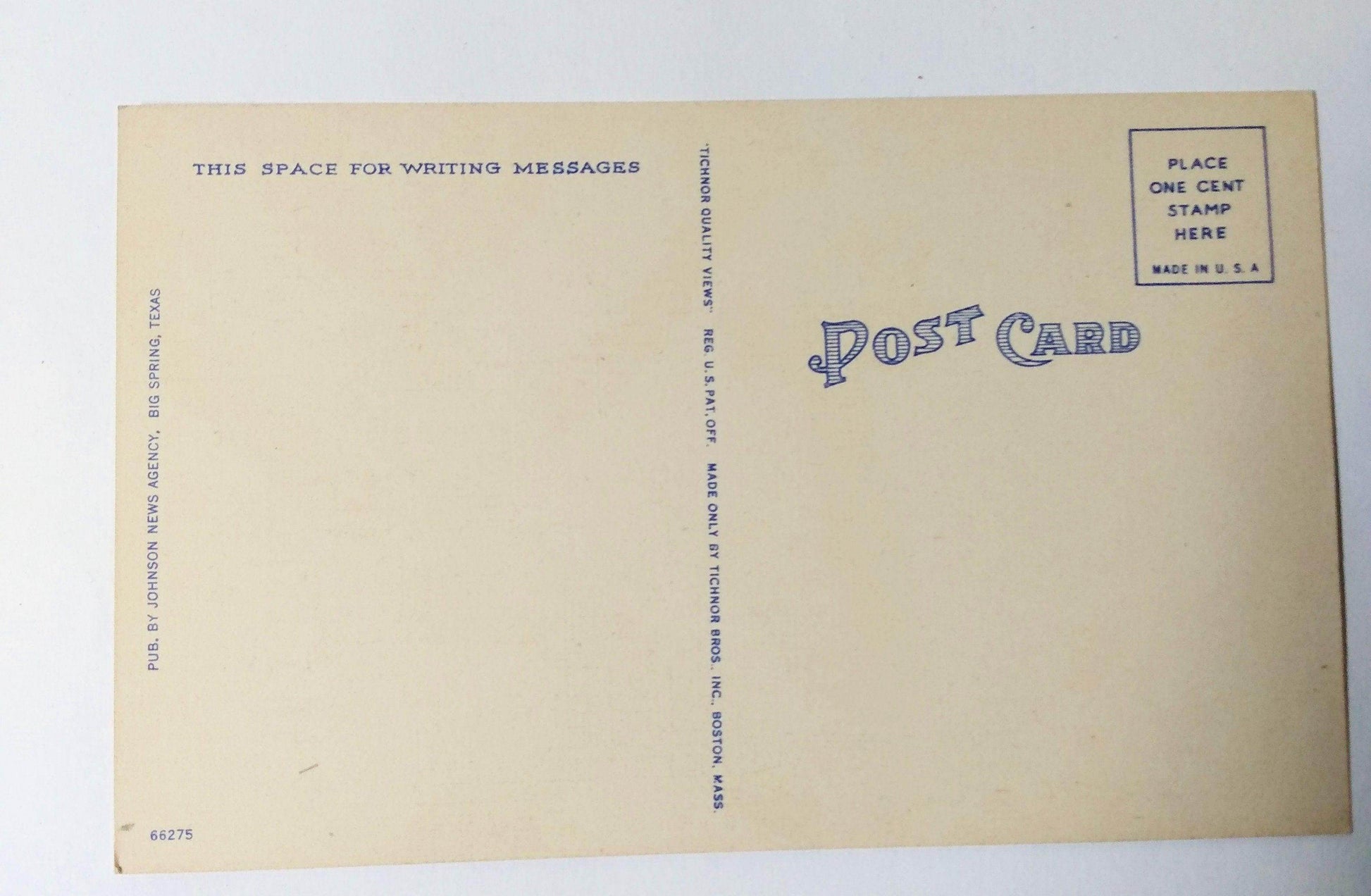 Buckhorn Cholla Cactus In Bloom American Southwest Desert 1940's - TulipStuff