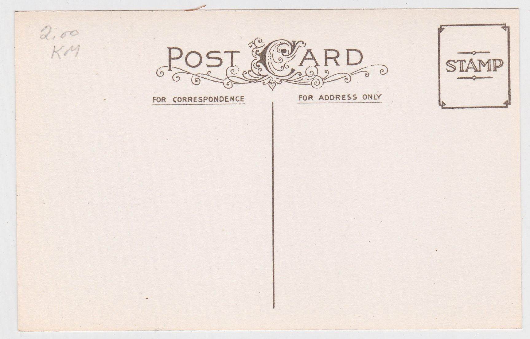 Christmas Cheer To You Horse Drawn Sleigh Postcard Vintage - TulipStuff