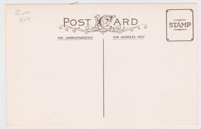 Christmas Cheer To You Horse Drawn Sleigh Postcard Vintage - TulipStuff