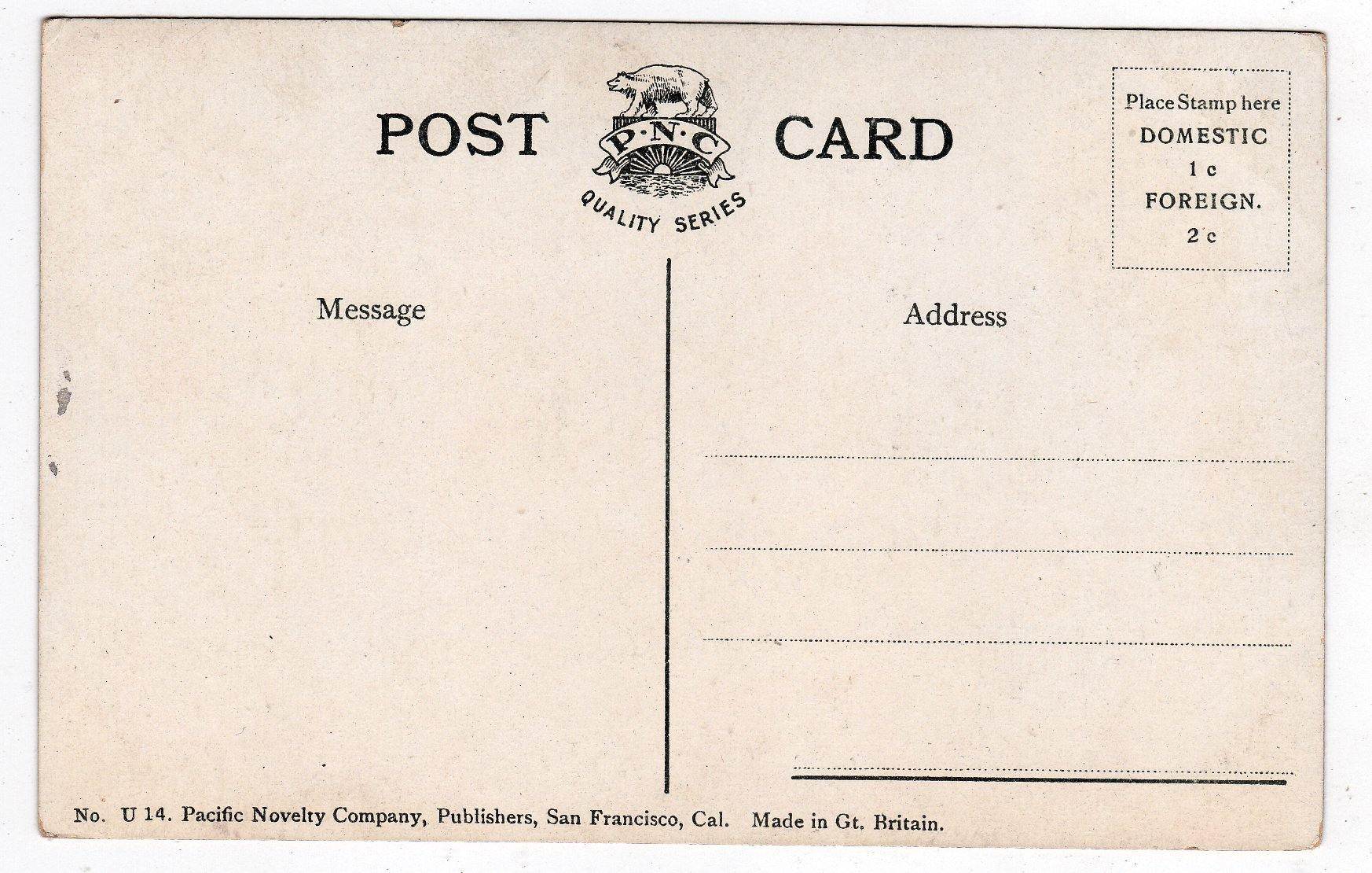 City and County Building Salt Lake City Utah 1909 Antique Postcard - TulipStuff