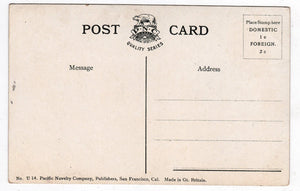 City and County Building Salt Lake City Utah 1909 Antique Postcard - TulipStuff