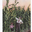 Cornfields Corn As It Grows In The Great Northwest Postcard 1910 - TulipStuff