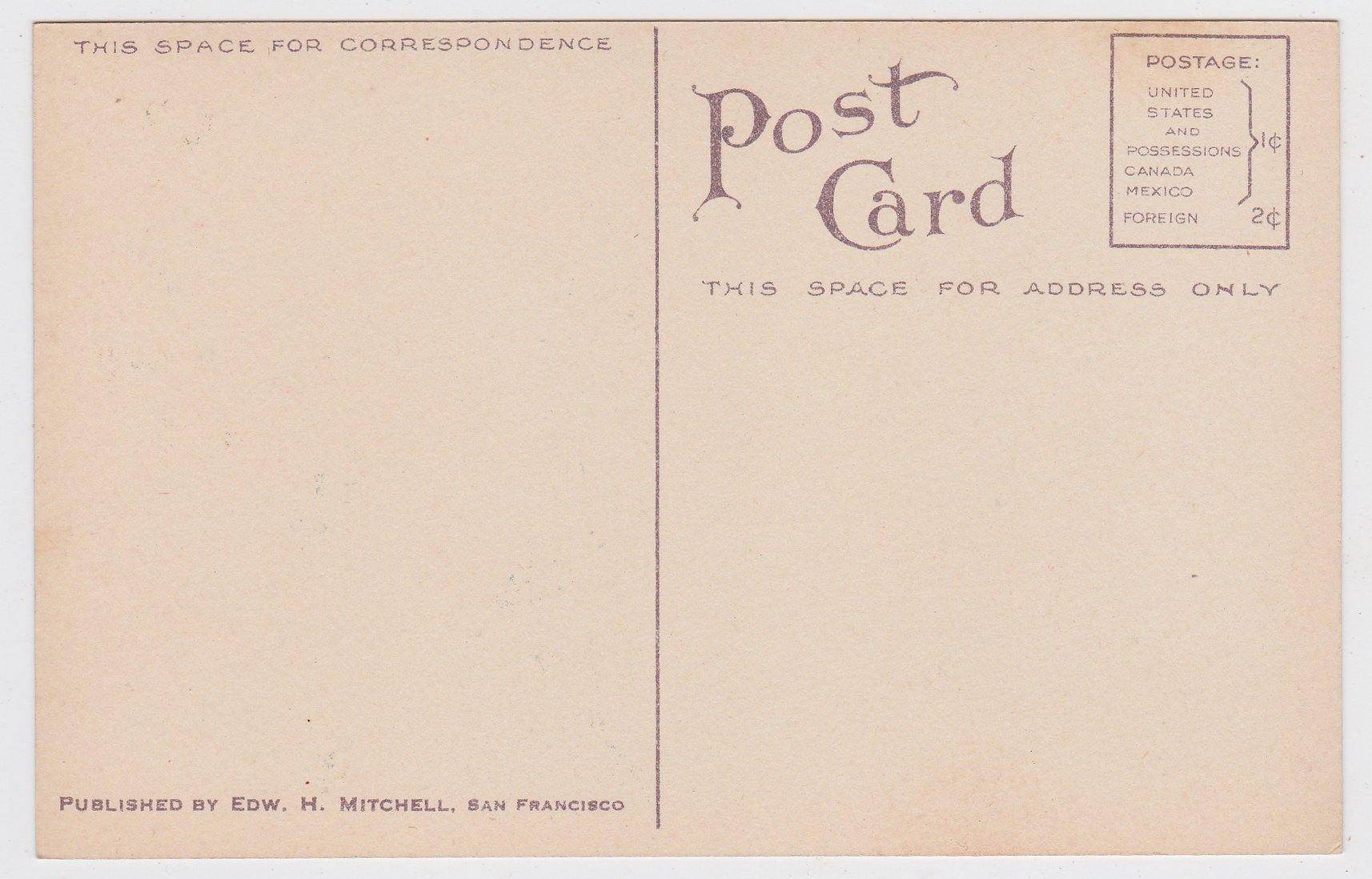 Cornfields Corn As It Grows In The Great Northwest Postcard 1910 - TulipStuff