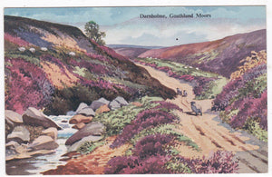 Darnholme Goathland Moors North Yorkshire England 1940's Postcard - TulipStuff