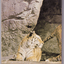 Detroit Zoo Guide Book Detroit Zoological Park Commission 1966 - TulipStuff