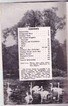 Load image into Gallery viewer, Detroit Zoo Guide Book Detroit Zoological Park Commission 1966 - TulipStuff
