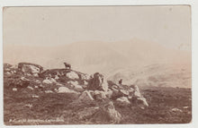 Load image into Gallery viewer, Dolgelley Cader Idris Wales Real Photo Postcard 1909 - TulipStuff
