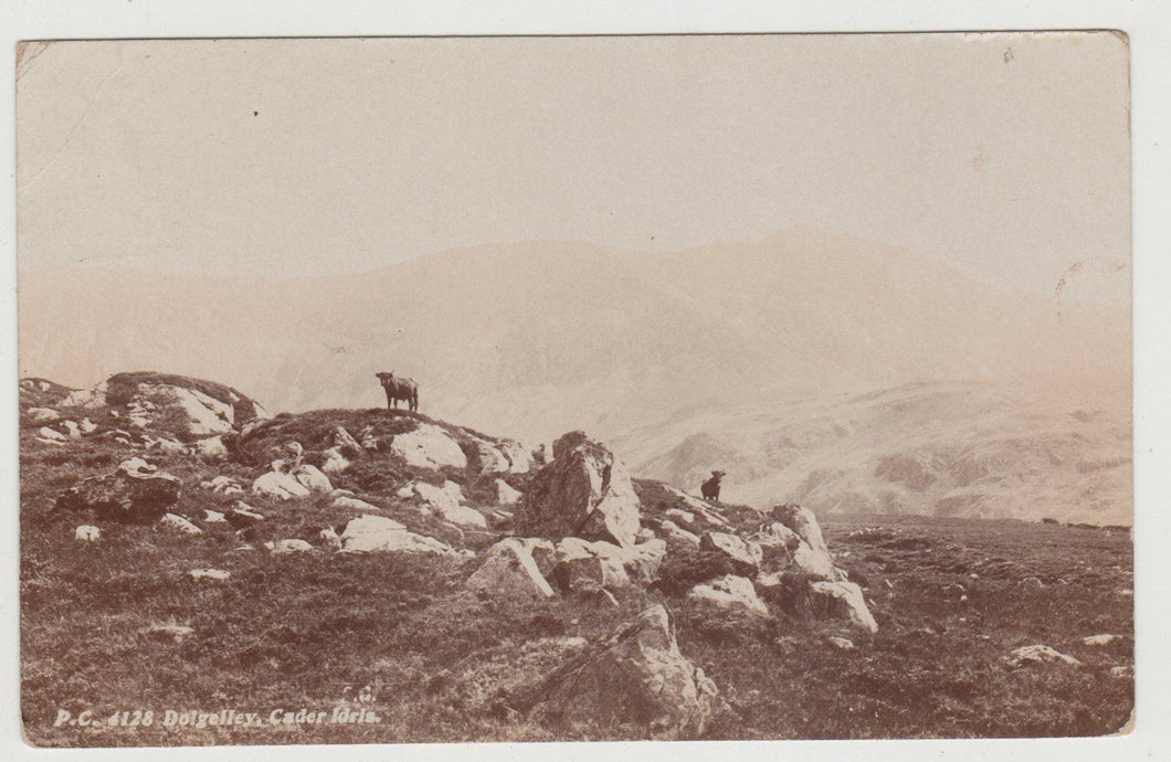 Dolgelley Cader Idris Wales Real Photo Postcard 1909 - TulipStuff