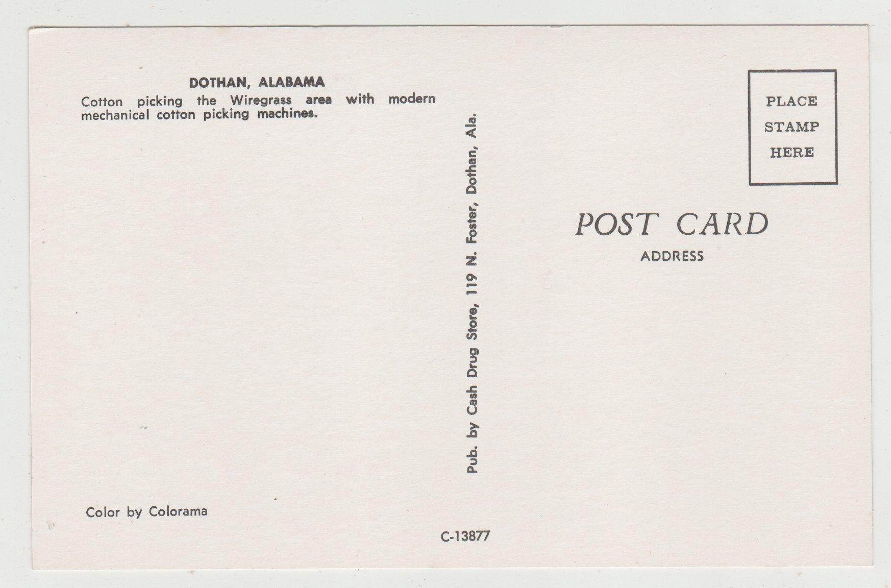 Dothan Albama Wiregrass Area Cotton Picking Machines 1960's - TulipStuff