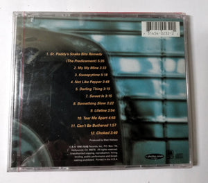 Enormous Busman's Holiday Rock Album CD 1996 - TulipStuff