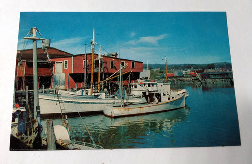 Fishing Boats Harbor Rockland Maine Penobscot Bay 1960's Postcard - TulipStuff