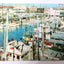 Fishing Fleet Boats Fisherman's Wharf San Francisco 1960 Postcard - TulipStuff