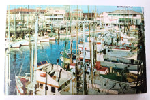 Load image into Gallery viewer, Fishing Fleet Boats Fisherman&#39;s Wharf San Francisco 1960 Postcard - TulipStuff
