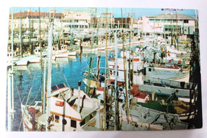 Fishing Fleet Boats Fisherman's Wharf San Francisco 1960 Postcard - TulipStuff
