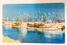Load image into Gallery viewer, Fishing Fleet San Pedro Harbor California 1950&#39;s Postcard Boats - TulipStuff
