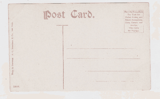 Early 1900's Flatiron Building Broadway New York City Postcard - TulipStuff