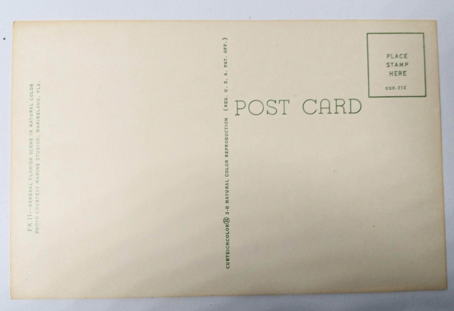 Florida Sea Horse History Marine Studios Marineland Postcard 1950's - TulipStuff