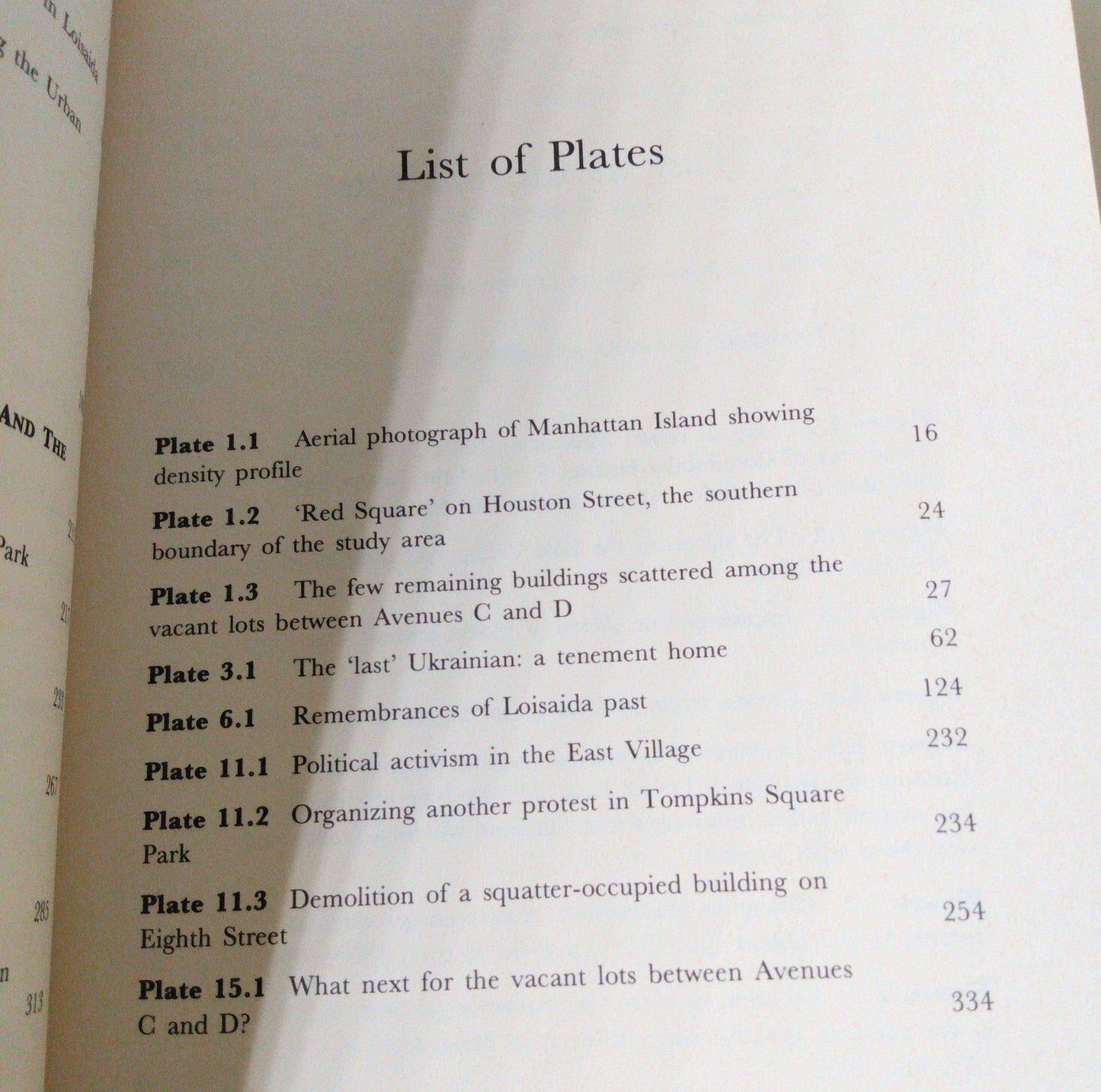 From Urban Village To East Village: Battle For NY's Lower East Side - TulipStuff