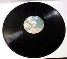 Load image into Gallery viewer, Gordon Lightfoot Endless Wire Canadian Folk Rock 12&quot; Vinyl LP 1978 - TulipStuff
