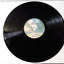 Gordon Lightfoot Endless Wire Canadian Folk Rock 12" Vinyl LP 1978 - TulipStuff
