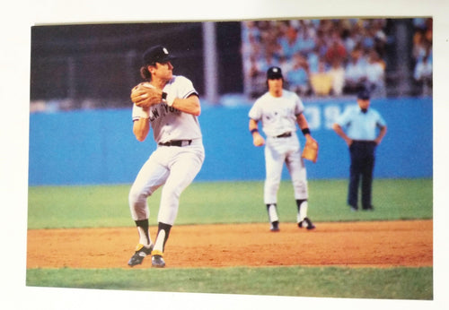 Graig Nettles New York Yankees Yankee Stadium 1981 Postcard - TulipStuff