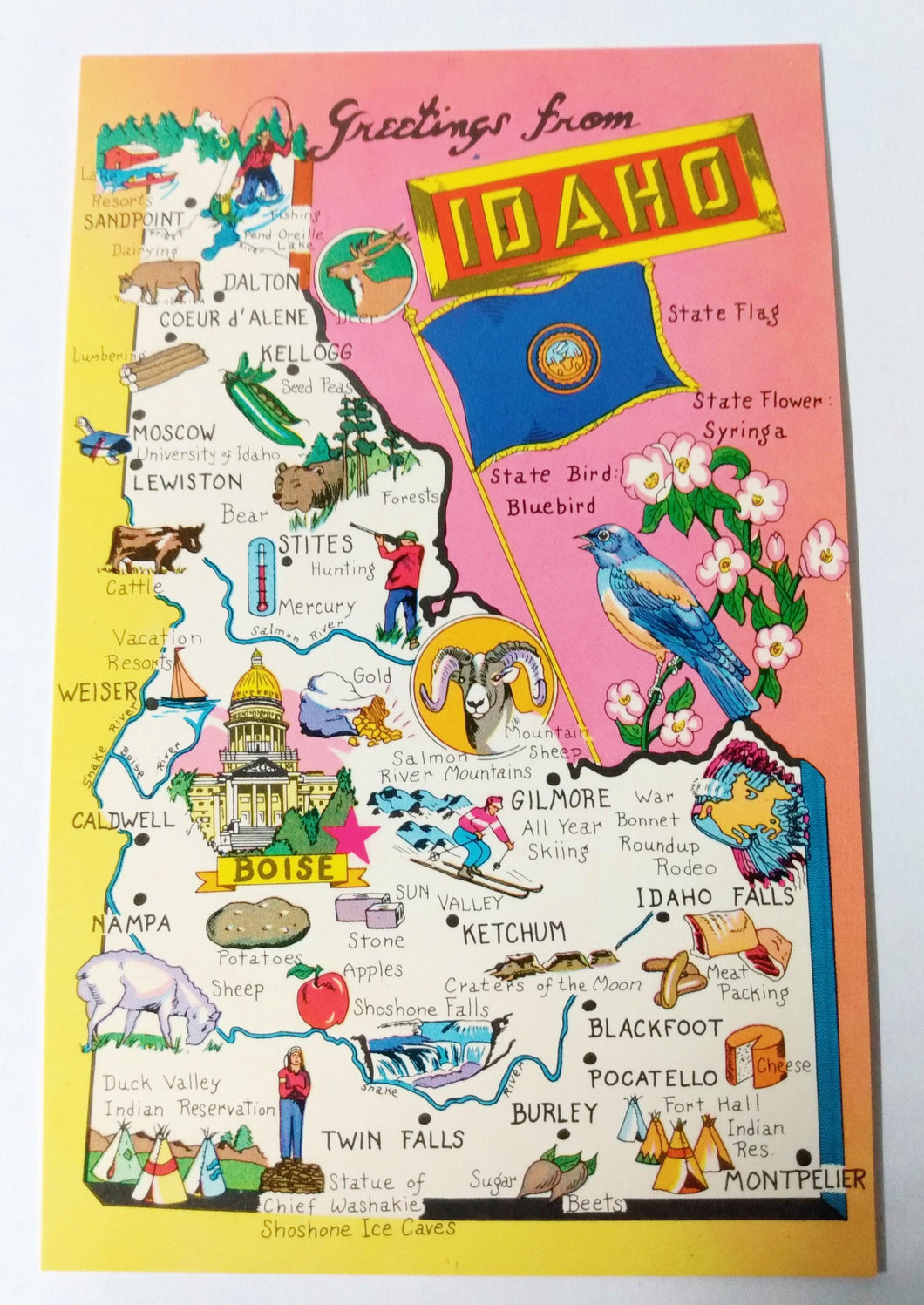 Greetings From Idaho 1960s Tourist Attractions Map Postcard - TulipStuff