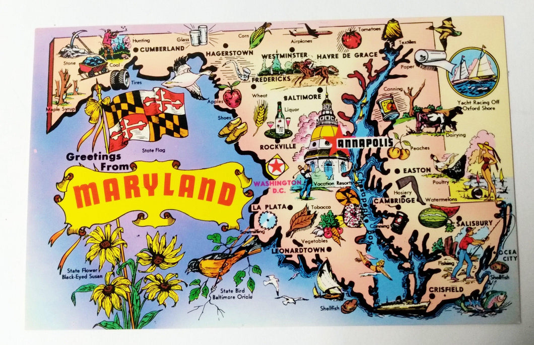 Greetings From Maryland 1970s Tourist Attractions Map Postcard - TulipStuff