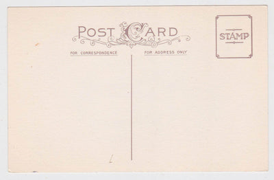 Happy Birthday Purple Flowers Vintage Postcard - TulipStuff