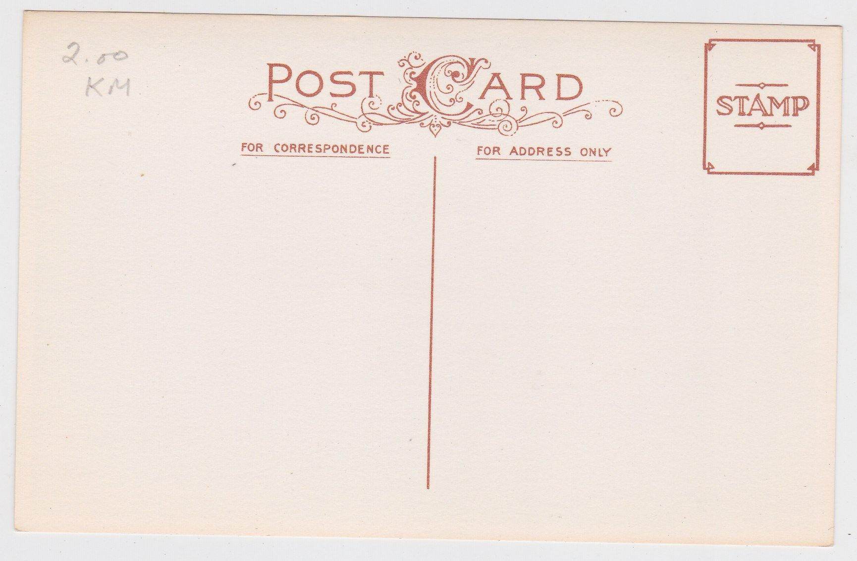 A Hearty New Year Greeting Kids Giant Mushrooms Postcard - TulipStuff