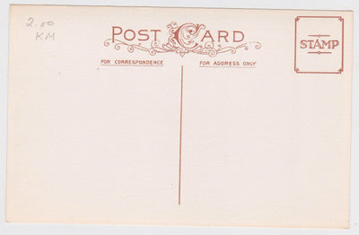 A Hearty New Year Greeting Kids Giant Mushrooms Postcard - TulipStuff