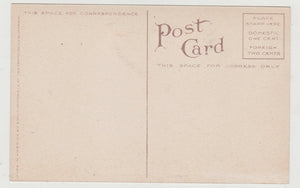 High School Santa Barbara California 1910's Postcard - TulipStuff