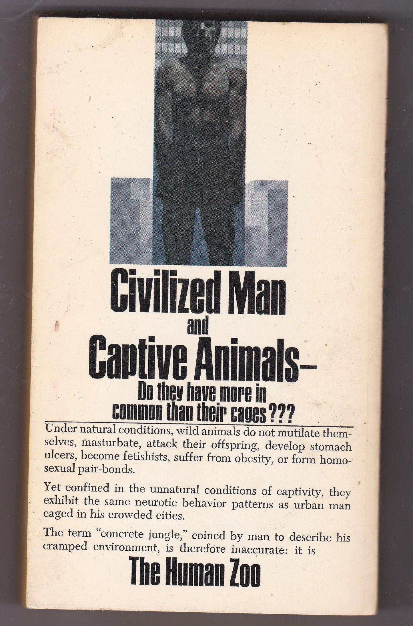 The Human Zoo by Desmond Morris Paperback Bantam Books 1969 - TulipStuff