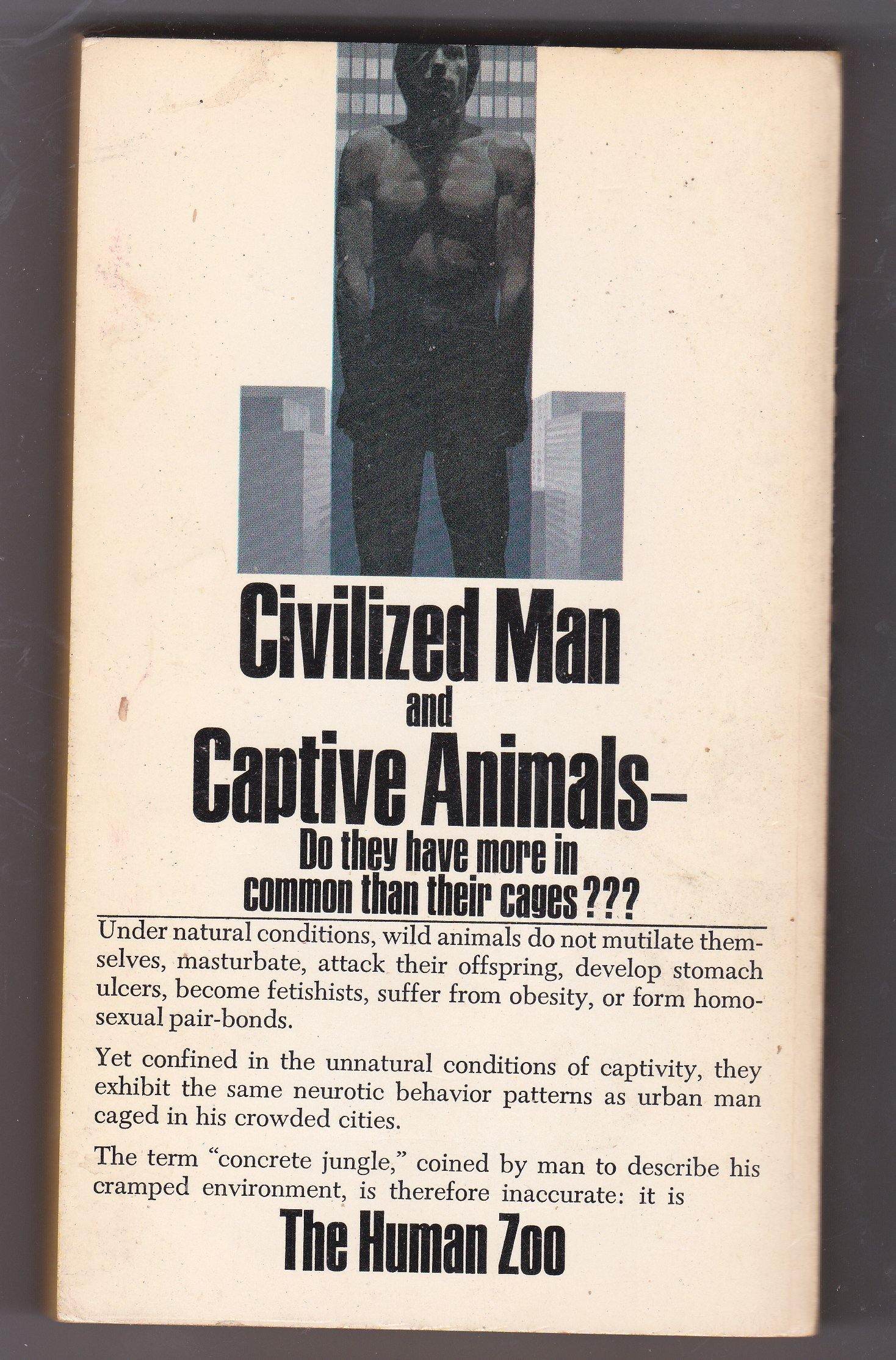 The Human Zoo by Desmond Morris Paperback Bantam Books 1969 - TulipStuff