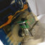 Hot Wheels 2002 Collector #189 Express Lane Shopping Cart - TulipStuff
