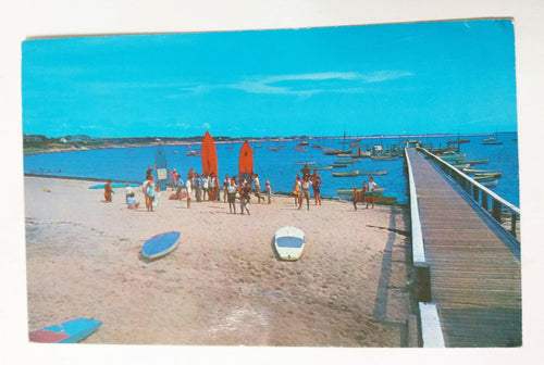 Hyannisport Beach Cape Cod Massachusetts 1960's Postcard - TulipStuff