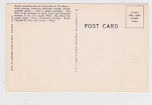 Load image into Gallery viewer, Greetings from Van Horn Texas Large Letter Linen Postcard 1940&#39;s - TulipStuff
