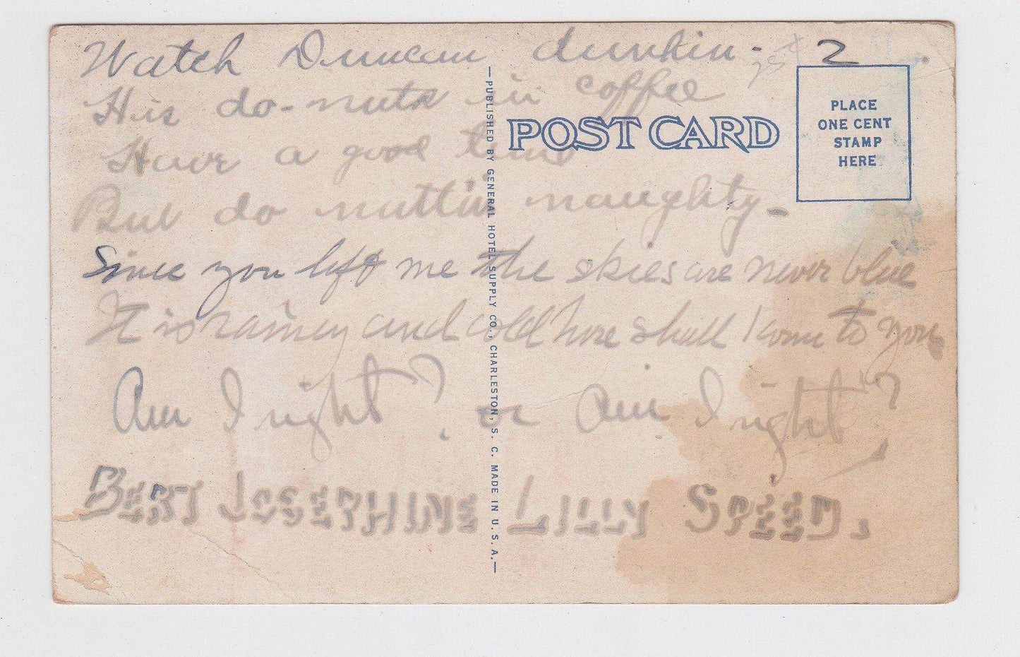 Hotel Skyland Hendersonville North Carolina Early 1930's Postcard - TulipStuff