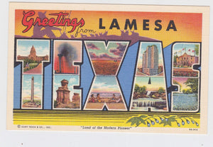 Greetings from La Mesa Texas Large Letter Linen Postcard 1940's - TulipStuff