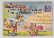 Load image into Gallery viewer, Greetings From A Nut Like Me 1940&#39;s Humor Postcard Booklet - TulipStuff
