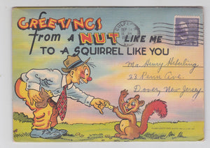 Greetings From A Nut Like Me 1940's Humor Postcard Booklet - TulipStuff