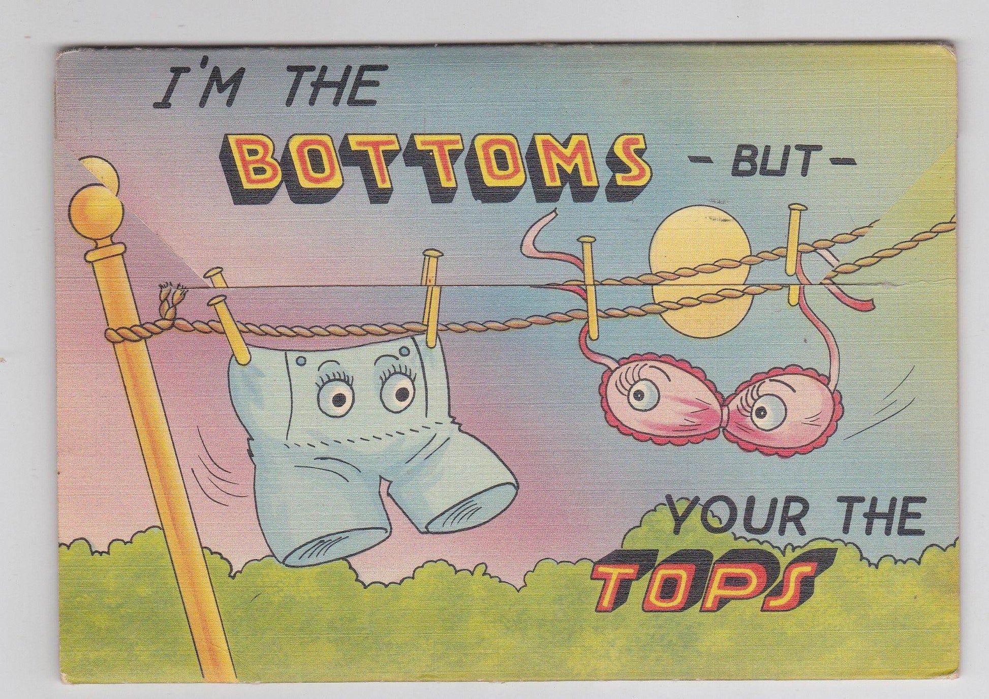 Greetings From A Nut Like Me 1940's Humor Postcard Booklet - TulipStuff