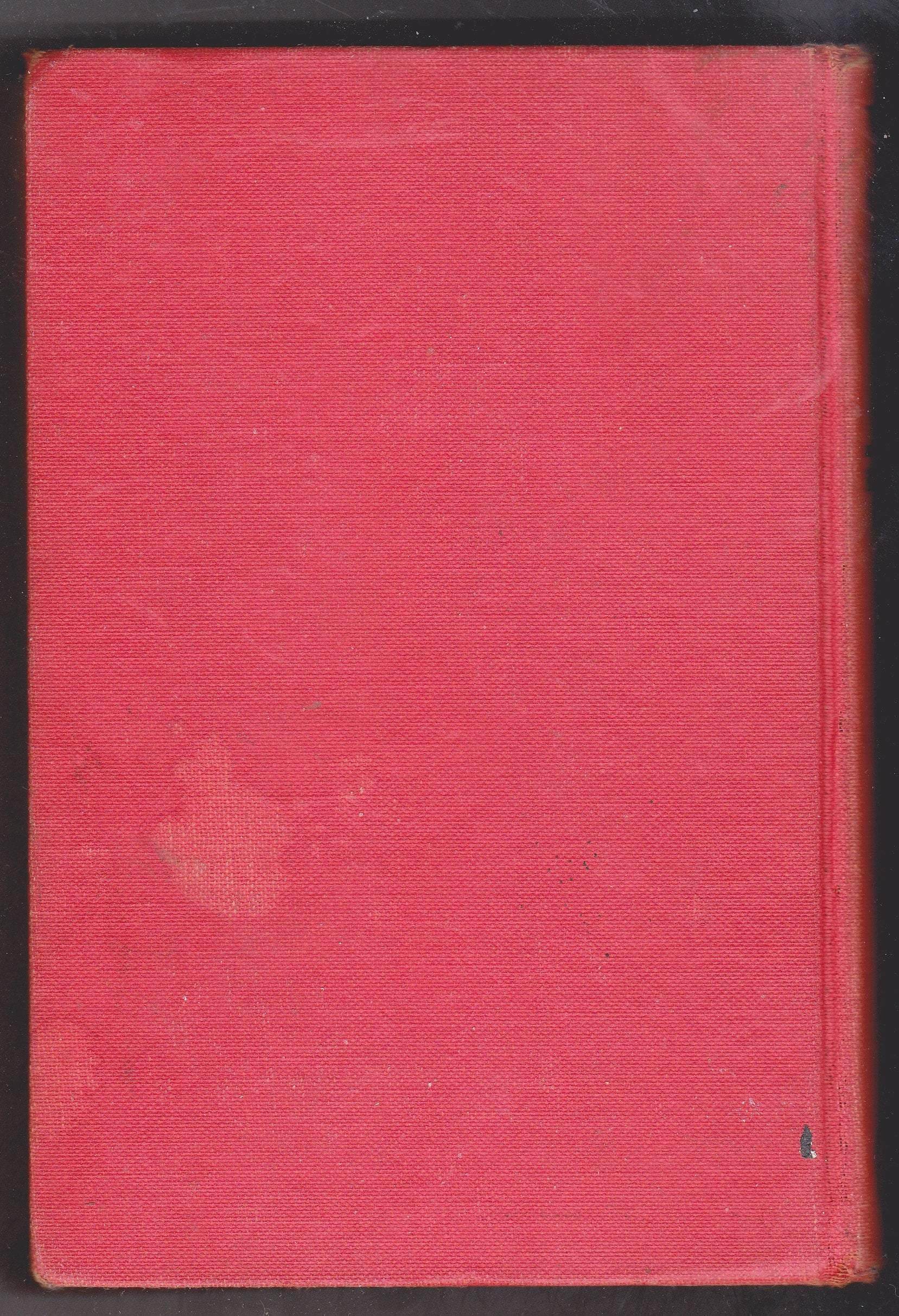 Wrecked on Cannibal Island or Jerry Ford's Adventures Among Savages Fenworth Moore 1931 - TulipStuff
