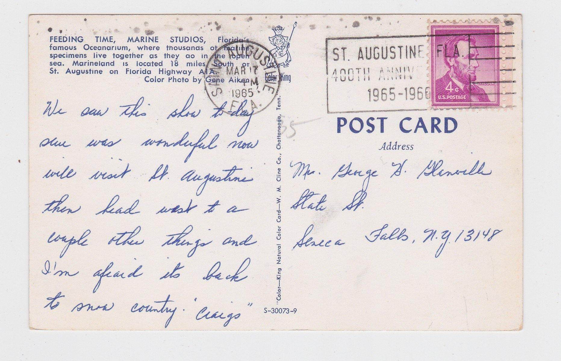 Feeding Time Marine Studios Oceanarium Marineland Florida Postcard 1960's - TulipStuff