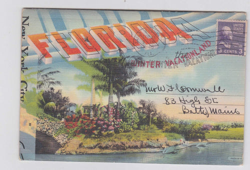 Florida Winter Vacationland 1940's Postcard Booklet 18 views - TulipStuff