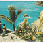 Acapulco Tierra Amiga 16 View Souvenir Postcard Folder Mexico 1960's - TulipStuff